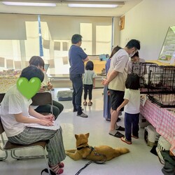 まだら家 サムネイル3