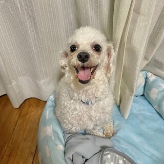 控え目だけど本当は甘えたい寂しがりなミーニャちゃん