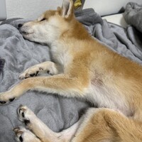 竹内理