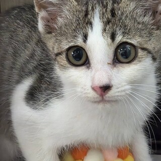 ４兄弟☆お姫さま