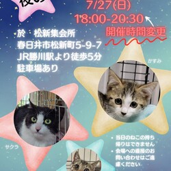 ✩夜の譲渡会✩かすがい地域ねこの会