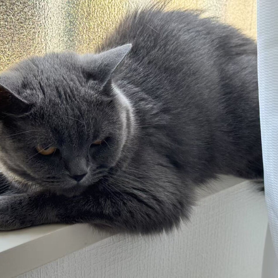 無のカバー写真