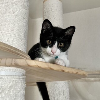 とっても可愛い♡甘えん坊ボーイ