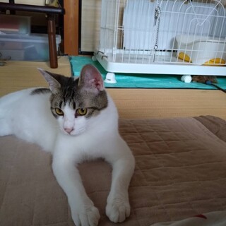 元気いっぱい♡つきちゃん