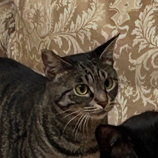 甘えん坊好きにはたまらない可愛い子！