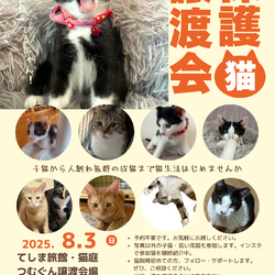 保護猫譲渡会クローバーの会 サムネイル1