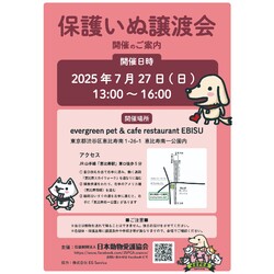 保護いぬ譲渡会＠恵比寿