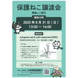 保護ねこ譲渡会＠恵比寿