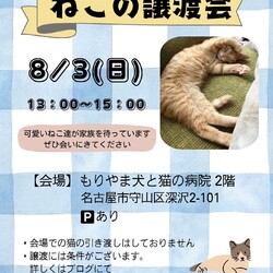 ねこの譲渡会 inもりやま犬と猫の病院