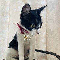 もぉーちゃん