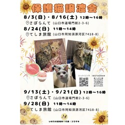保護猫譲渡会in山口市さぽらんて