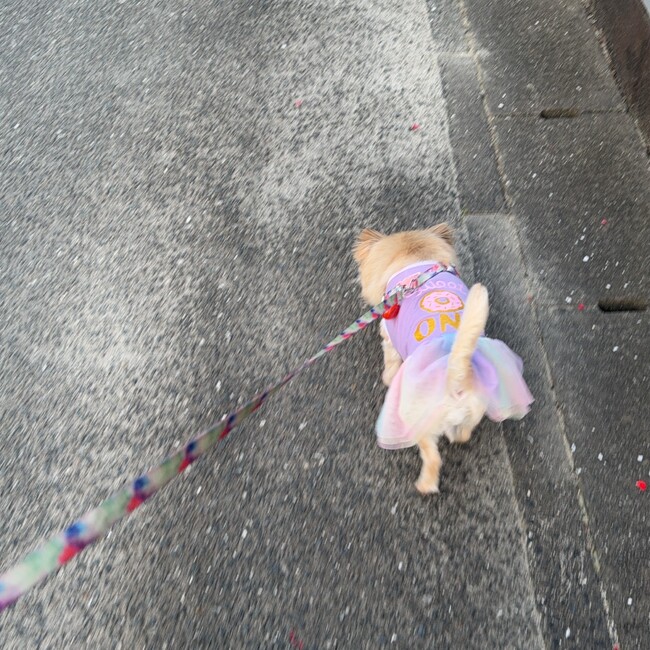 sato1023のカバー写真
