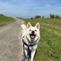超平和主義で超温厚なぽっちゃり体型ぷっちょくん