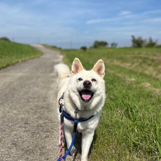超平和主義で超温厚なぽっちゃり体型ぷっちょくん