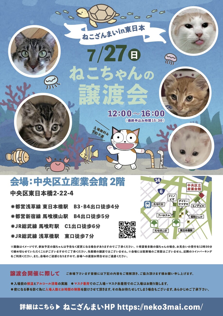 7/27東日本橋】ふわ」東京都 - 猫の里親募集(513793) 7枚目の画像