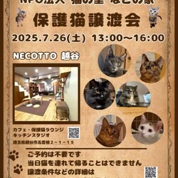 なごの家保護猫譲渡会in necotto 越谷 サムネイル1