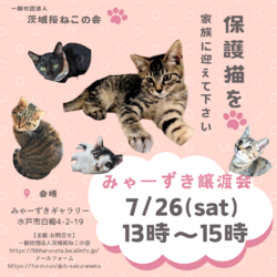 みゃーずき譲渡会