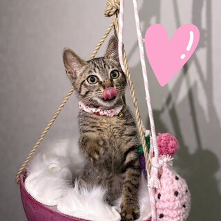 とっても素直な甘えんぼ❤️