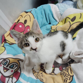 タレ目風ぱっちりおめめ！約4ヶ月イケメン