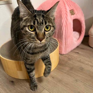 お母さんが大好きなタラちゃん♡