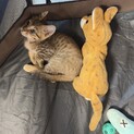 かわいい男の子