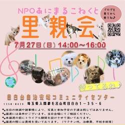 あにこね犬猫里親会 サムネイル1