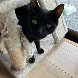 甘えん坊です　スイカくん