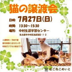 可愛い子をお探しならなら是非こちらへ