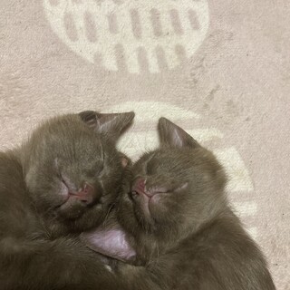 やんちゃ坊主達！