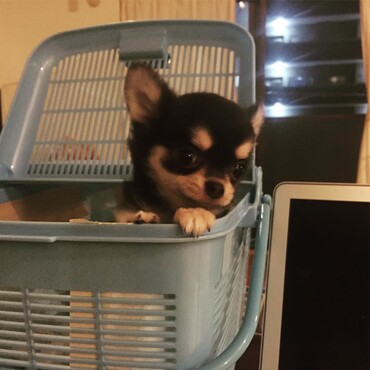 の写真