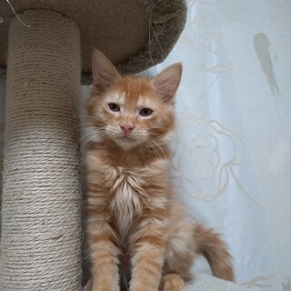 小次郎生後3ヶ家族ができました！