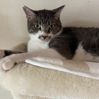 ありがとうございました