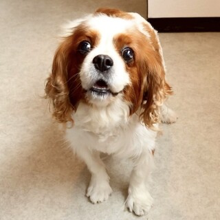 ニコニコ笑顔の可愛い甘えっ子の女の子