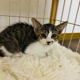 めちゃくちゃ甘えん坊の男の子