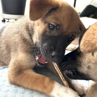 やさしい女の子・3ヶ月