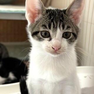 【7/27東銀座】ベイビーくん★３ヵ月♪