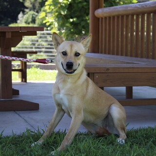 うるうる黒い瞳が美しすぎる♡ジェシーちゃん