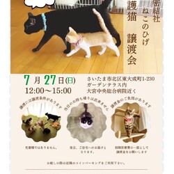 秘密結社ねこのひげ♡保護猫譲渡会 サムネイル1