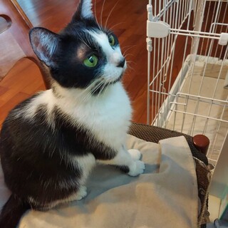 甘えん坊で人懐こい女の子