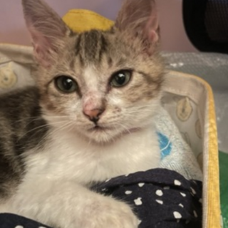 ヘタレな甘えた★くらげ君★