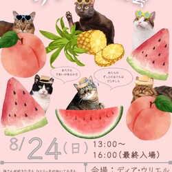 甘えんぼ猫さんたちに会える！第六回ウリエル譲渡会