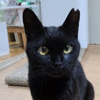 7/27ハウジングプラザ浦和参加　