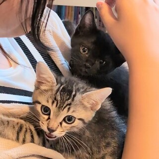 生後1日から人の手で育った子達♪