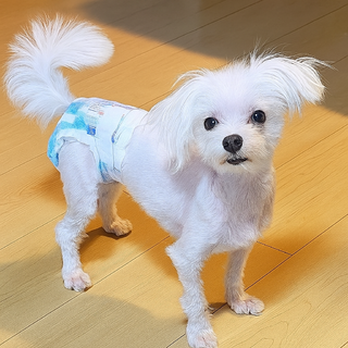 困っちゃうくらい甘えんぼさん♡