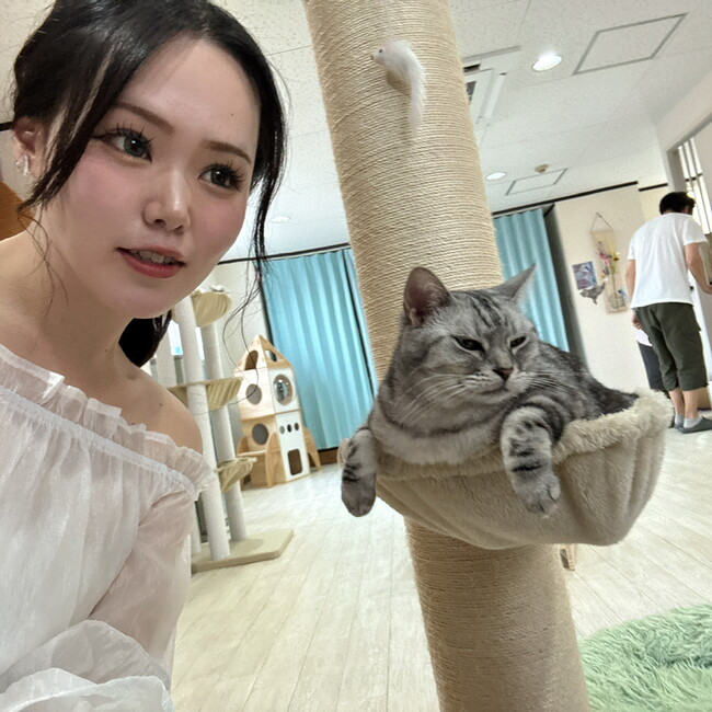 かじてるのカバー写真