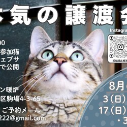 本気の譲渡会 サムネイル2