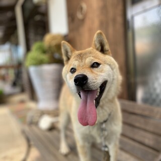 ♦︎みんな大好き たこまる♦︎