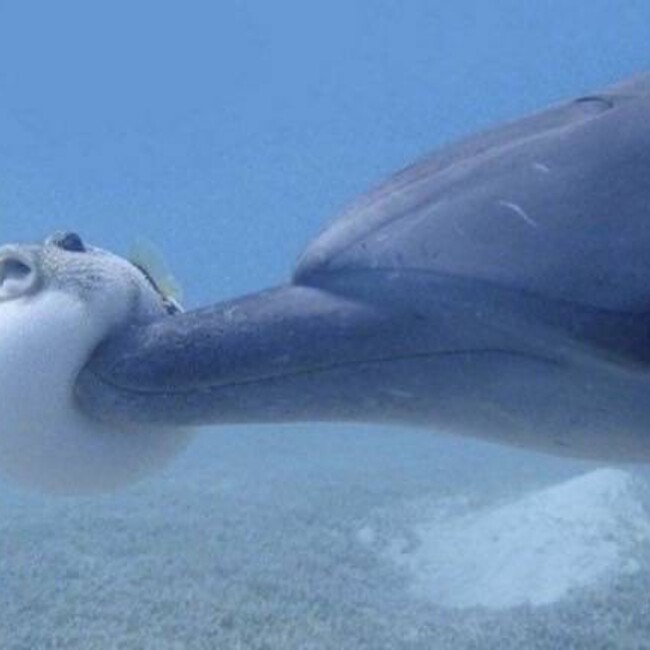 まりもんぬのカバー写真