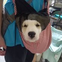 あ