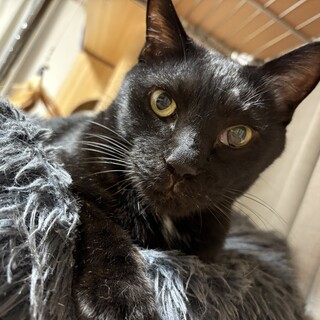 安心安全安楽な生活の場を。